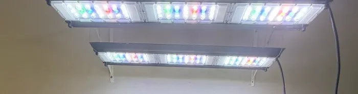 Luminária profissional (aquário plantado)