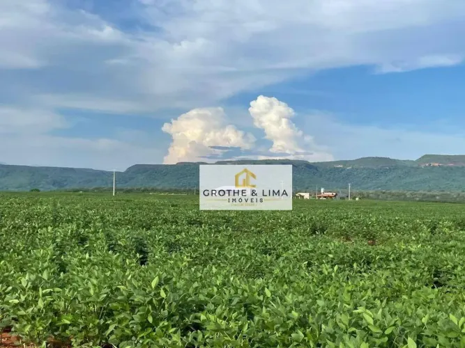 Vendo fazenda de dupla aptidão à venda no município de Monte do Carmo/TO.