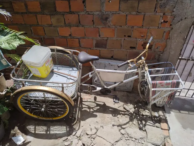 Bicicleta cargueira