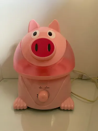 Umidificador de porquinho
