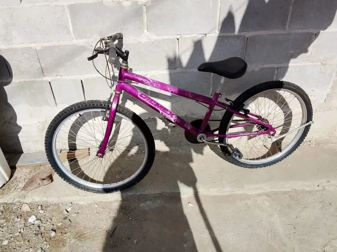 Vendo bicicleta aro 24 caloi , valor 250 reais$$