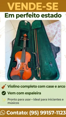 Violino