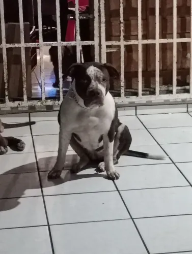 Namorado pra Zoe 