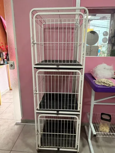 Vende-se gaiola para pet Shop