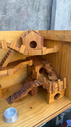 Viveiro terrário completo para hamster + suporte + acessórios