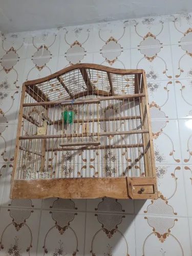 Gaiola pra canário belga