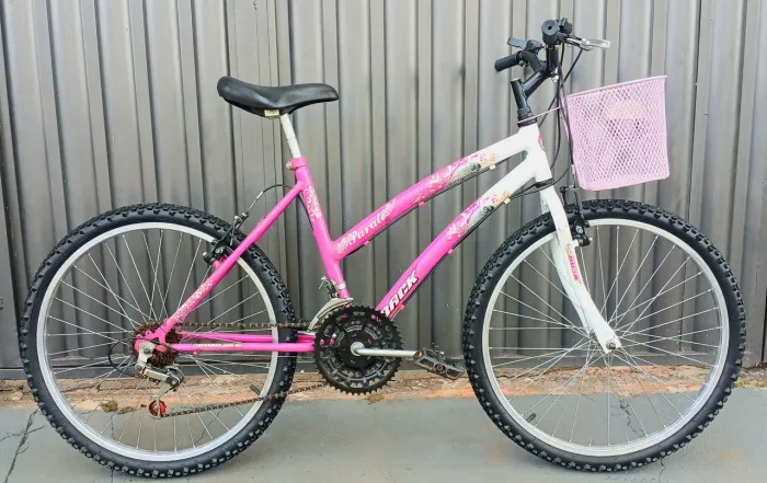 BICICLETA ARO 24