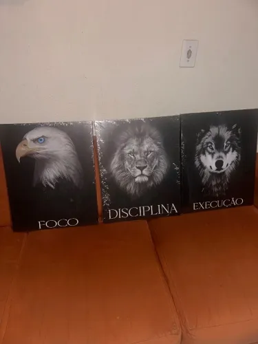 Quadros de decoração