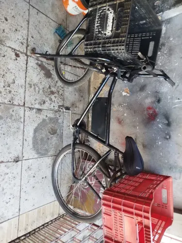 Cargueira toda inteira