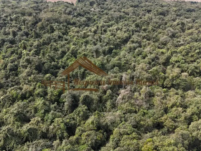 Fazenda com 286 hectares para área para reservar ambiental