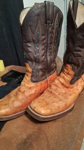 Bota Texana couro de avestruz