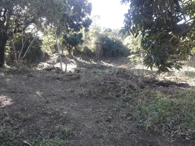 Terreno bairro Luiz Camões