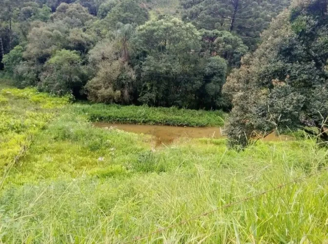 Vende-se terreno à beira rio em Alagoa/MG