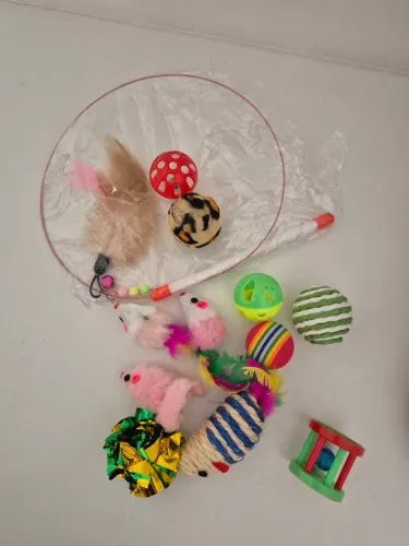 Kit com 12 brinquedos para gatinho 