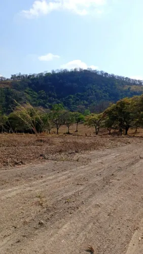 Terreno módulo rural em florestal