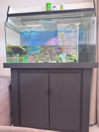 Aquário com móvel 200L