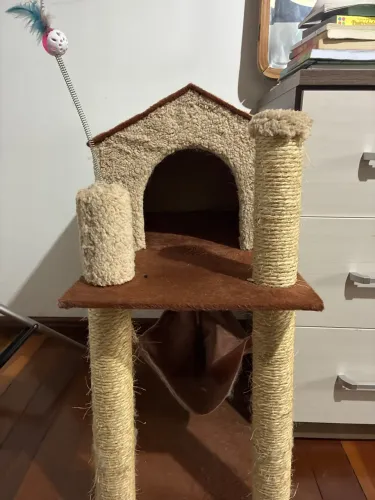 Casinha de gato