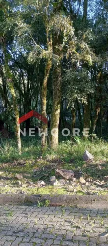 Lote em condomínio em ERS 466 - Bosque sinoserra - Canela/RS