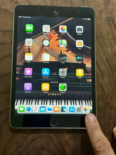 iPad mini 3
