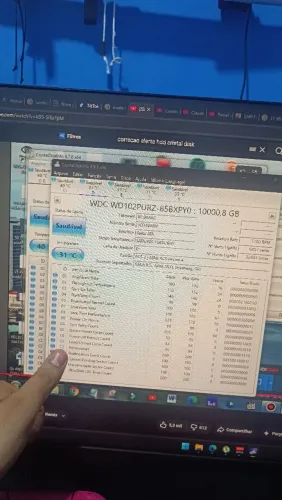 Hd 10tb wd102purz