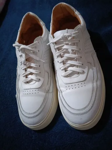 Tenis