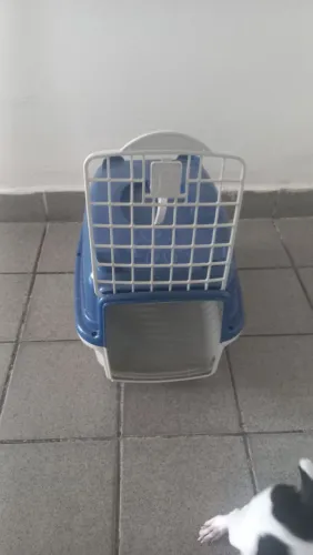 Caixa transporte pata pet