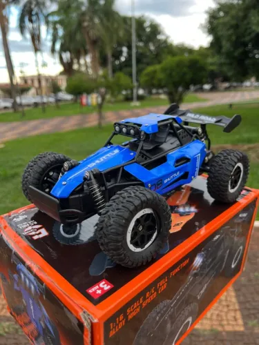 Carrinho Off-Road Controle Remoto - NOVO | LACRADO