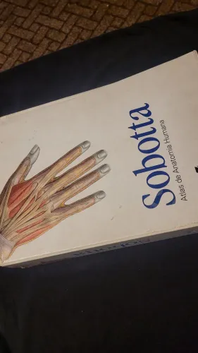 Sobotta | Atlas de Anatomia Humana, 23.ª edição - Usado