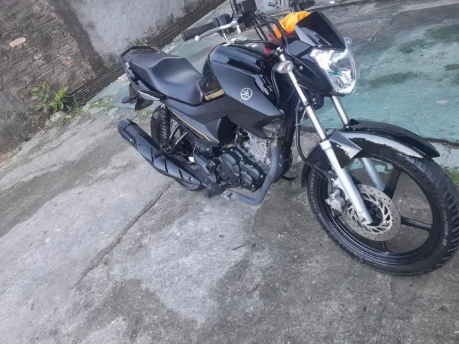 Factor 150 ED 2024 /2024