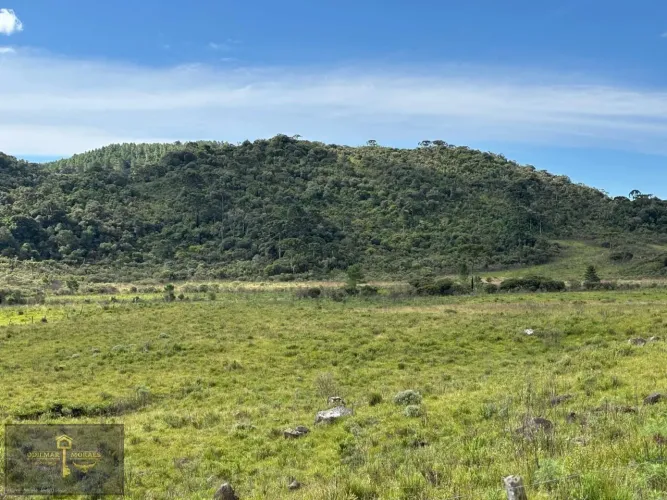 Terreno Rural para Venda em Urubici, Campo dos Padres
