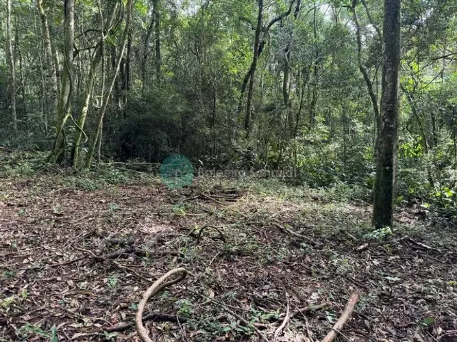 Terreno(20.000m²) Itapera área rural próximo a estrada do QuebraPote