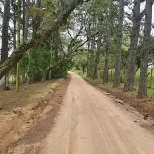 Vendo Terreno 2112m² excelente p/ Moradia ou Painéis Solares -Lomba Pinheiro.