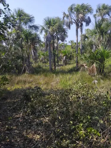 TERRENO EM TUTÓIA 30 X 200 COM RIO NO FUNDO (Tenho vídeo)