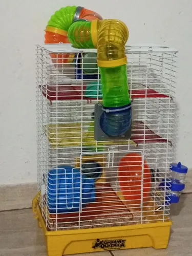 Hamster e gaiola 