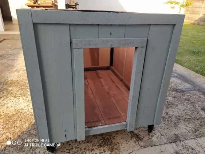 Casa para cachorro