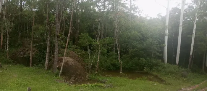 Sítio espetacular em meio a mata atlântica. Medindo 72.000 metros quadrados.