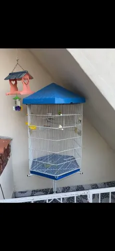 Vendo Viveiro para aves e pássaros.