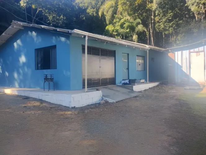 Pintor profissional 