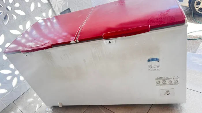 Freezer Electrolux