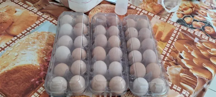 Ovos caipira