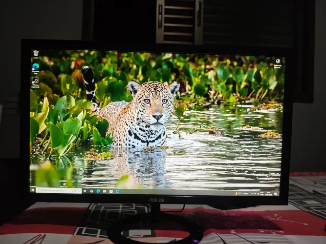 Monitor gamer Asus Led 1ms