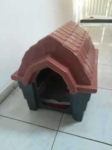 Vendo Casinha de Cachorro: Fone: *