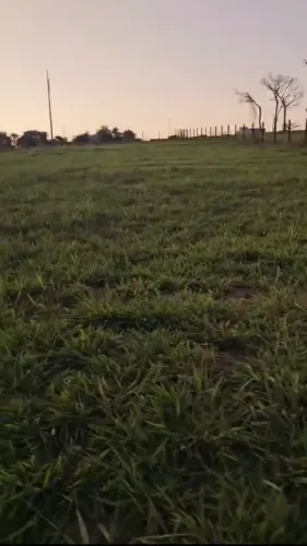 Lote/Terreno para venda tem 1850 metros quadrados em Zona Rural - Guapó - Goiás