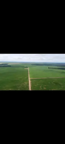 Fazenda 2.892 alqueires no TO. Aceita diamantes bancarizado 7 mil hect plantando