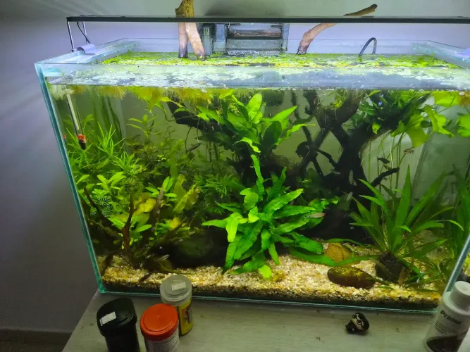 Aquário 72 Litros