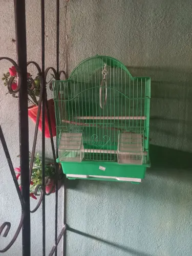 Gaiola