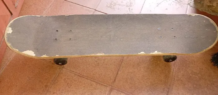Skate usado