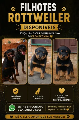 Disponível 