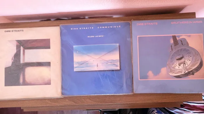 Discos de Vinil de Rock Diversos