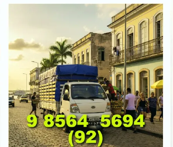 Frete com motorista experiente e preço bom hoje na Fenix